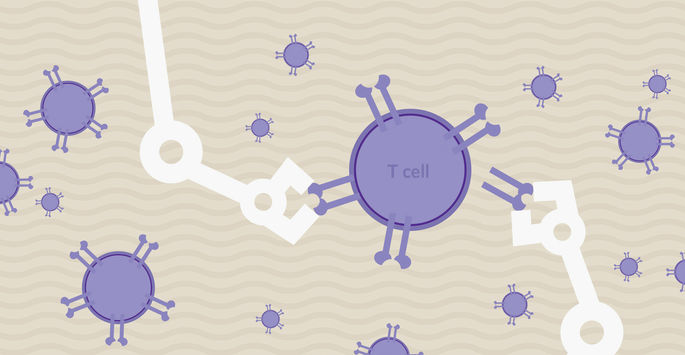 Image of T-Cell