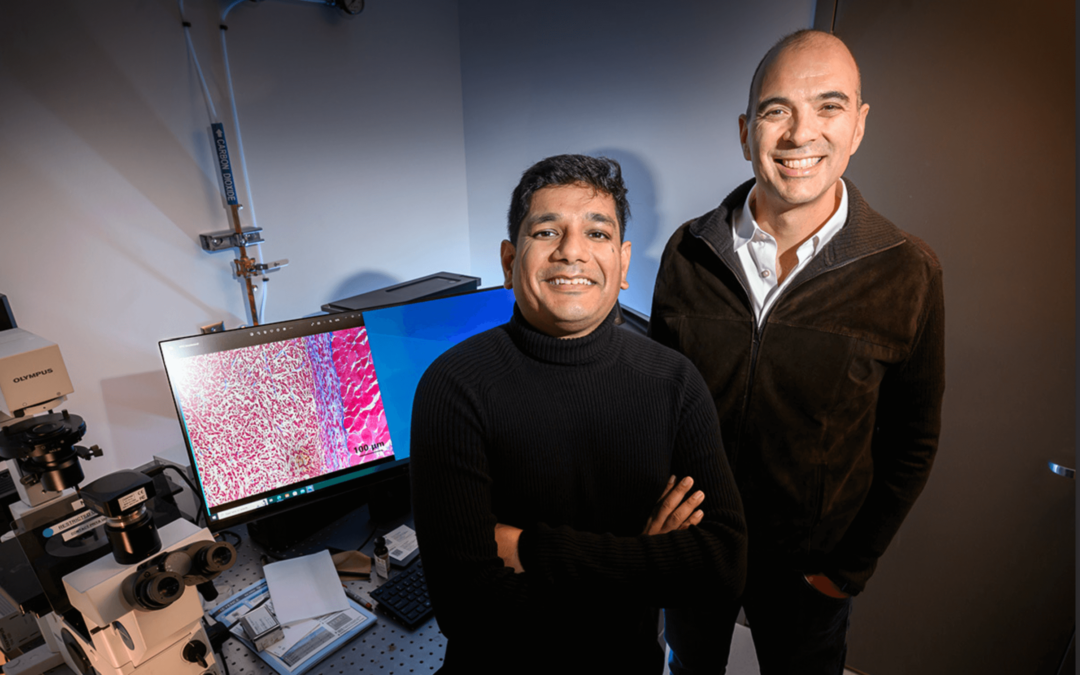 Imaging agents light up two cancer biomarkers at once to give more complete picture of tumor