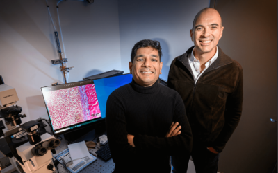 Postdoctoral researcher Indrajit Srivastava, left, and electrical and computer engineering professor Viktor Gruev led a team of researchers developing new cancer imaging agents that can light up two cancer biomarkers when lit by one fluorescent wavelength.