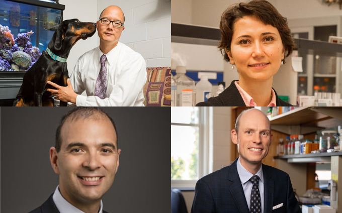 Cancer Center at Illinois Announces Leadership Team Updates