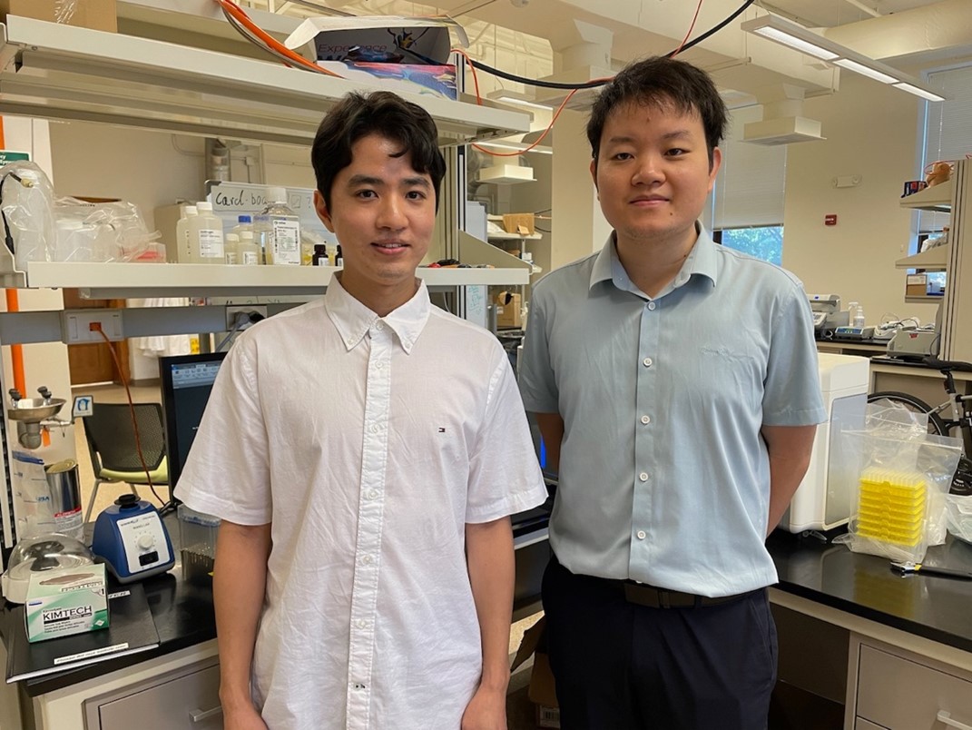 Metabolic Glycan Labeling Approach Shows Promise for Improving Dendritic Cell Vaccines