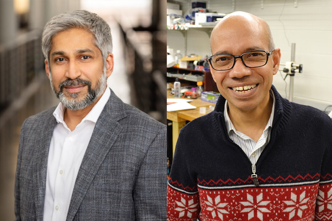 Two Illinois Faculty Members Elected to National Academy of Engineering
